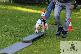 Welpen 13.09.2025 42